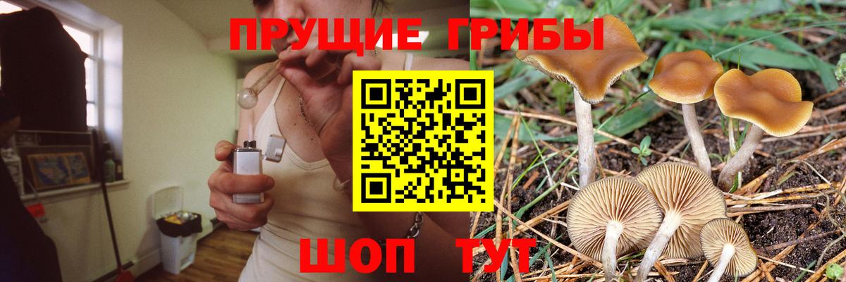 Псилоцибиновые грибы ЛСД Тосно