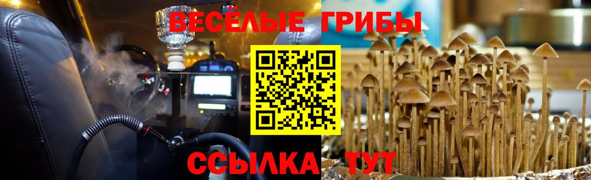 Галлюциногенные грибы мицелий  Вход с VPN  Тосно  Псилоцибиновые грибы Psilocybe 