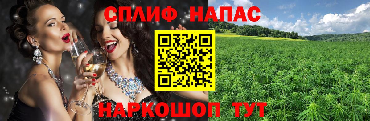 Шишки марихуана планчик  Бошки Шишки сатива  Конопля семена  Вход с VPN  Тосно 